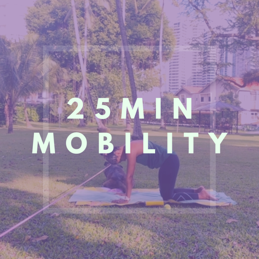 25 Minute Easy Mobility